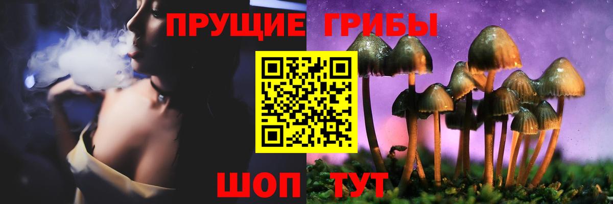 даркнет сайт  Галлюциногенные грибы GOLDEN TEACHER  Вход с VPN  Домодедово 